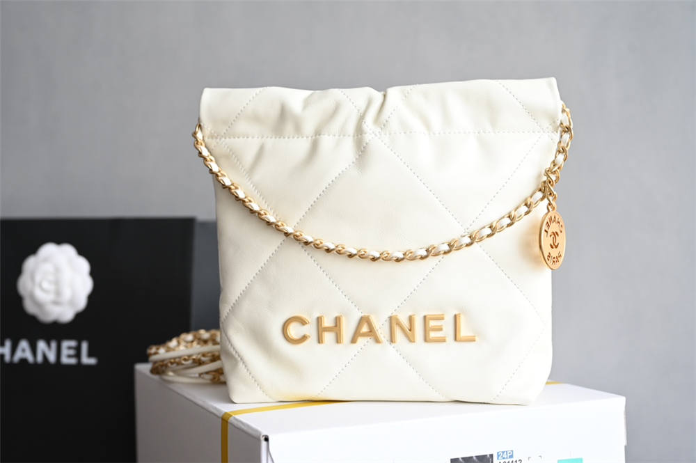 Chanel 22 bag mini 20x19x6cm 2025 new 